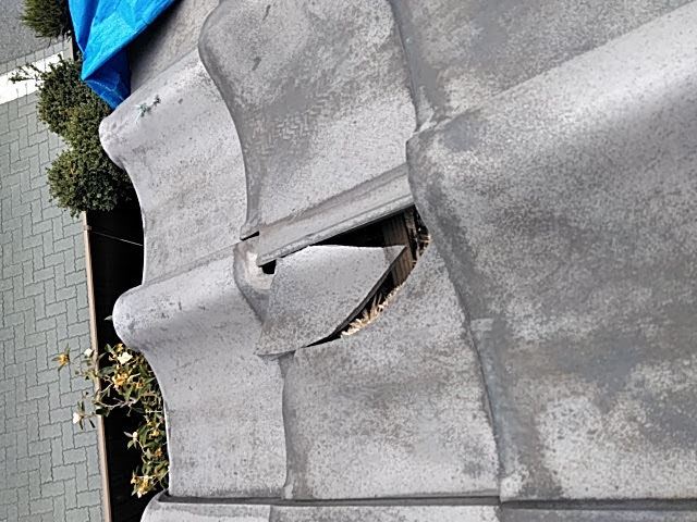 瓦が半分落ちた