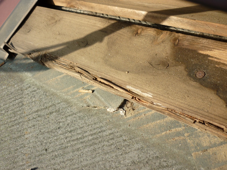 カラーベスト屋根