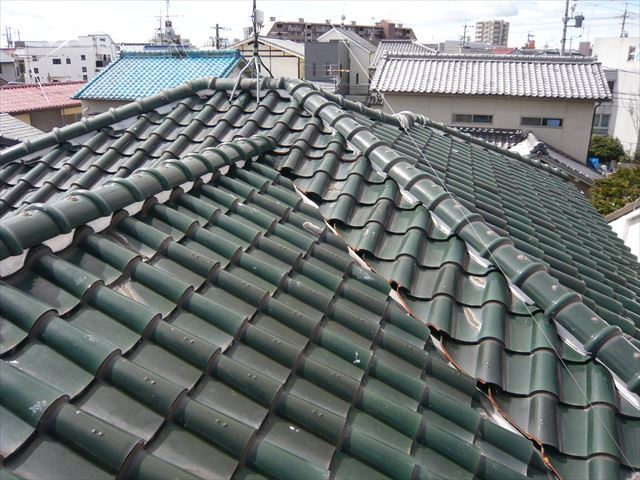 屋根の全景