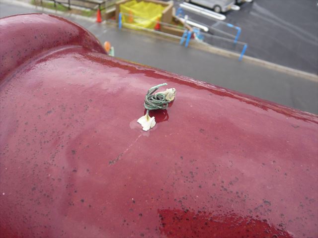 がんぶりの止め