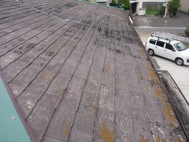 スレートのカビ・苔