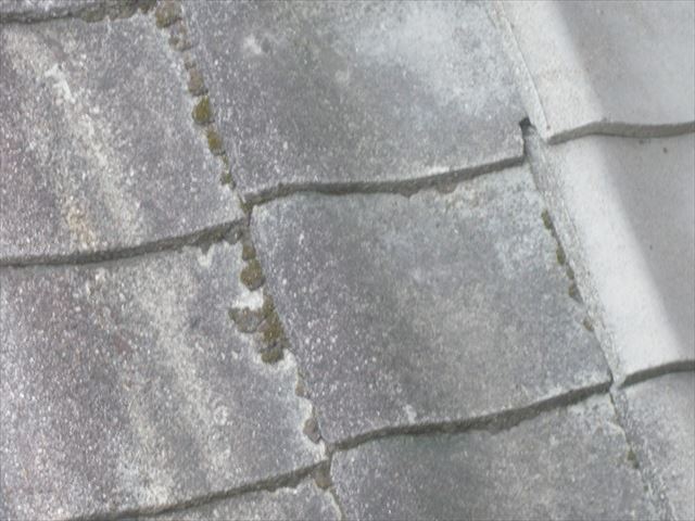 セメント瓦の苔