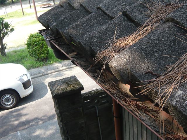雨樋の詰まり