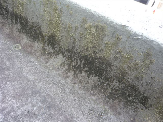 立ち上がり部分の劣化