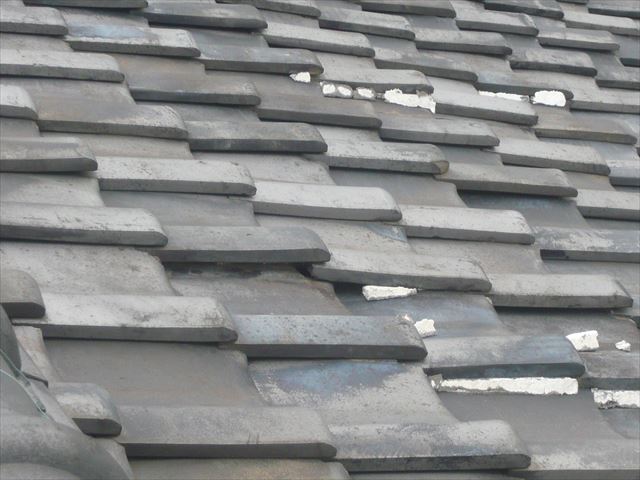 瓦の浮きやズレ