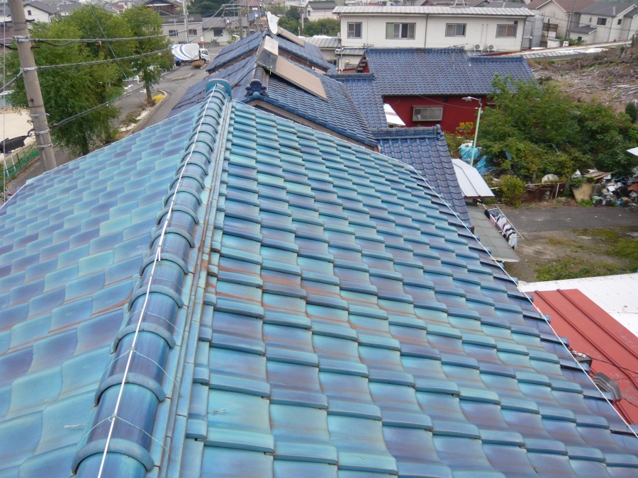 屋根の全景
