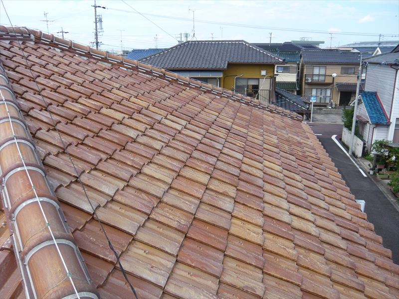 屋根の全景