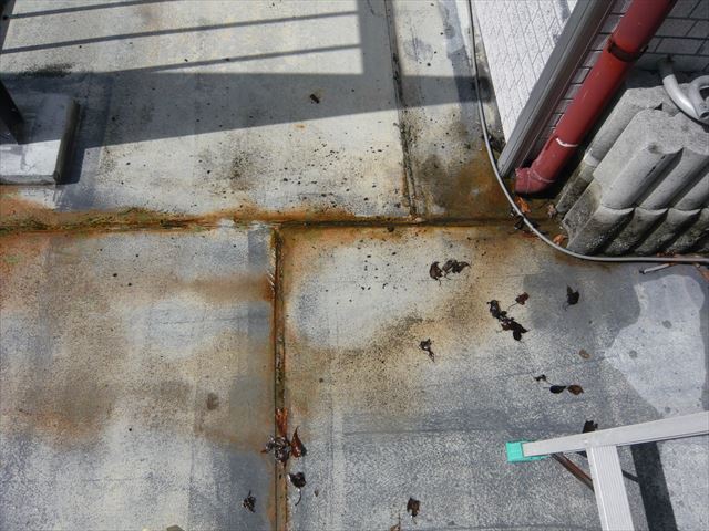 ベランダの状況