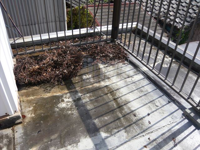 ベランダの状況