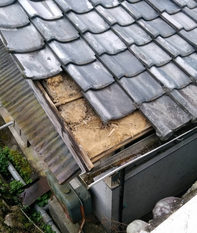 瓦とトイの修理