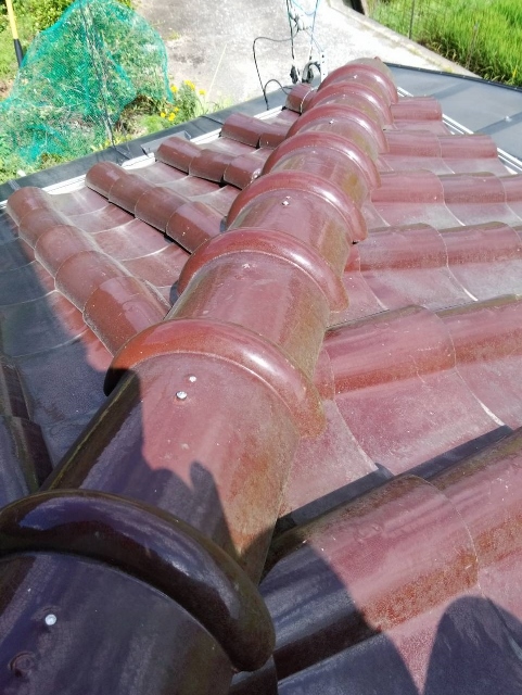 釘浮き　アフター