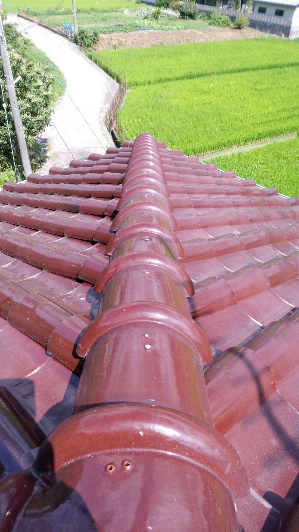 屋根瓦補修工事取り替え