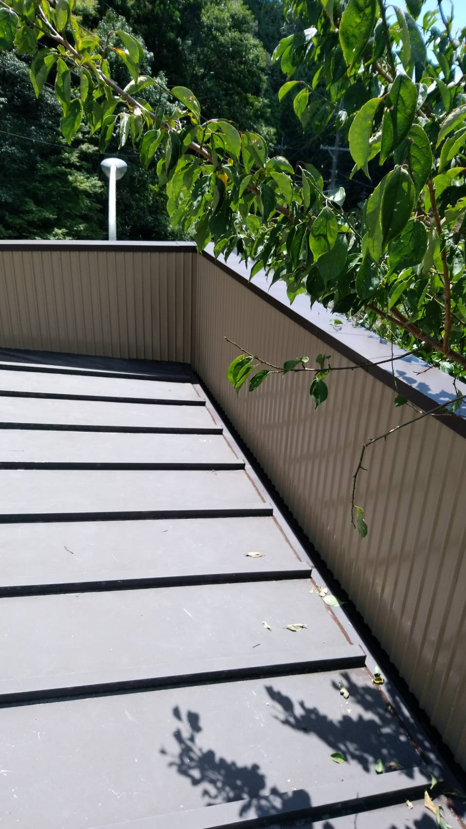 屋根のパラペット内側