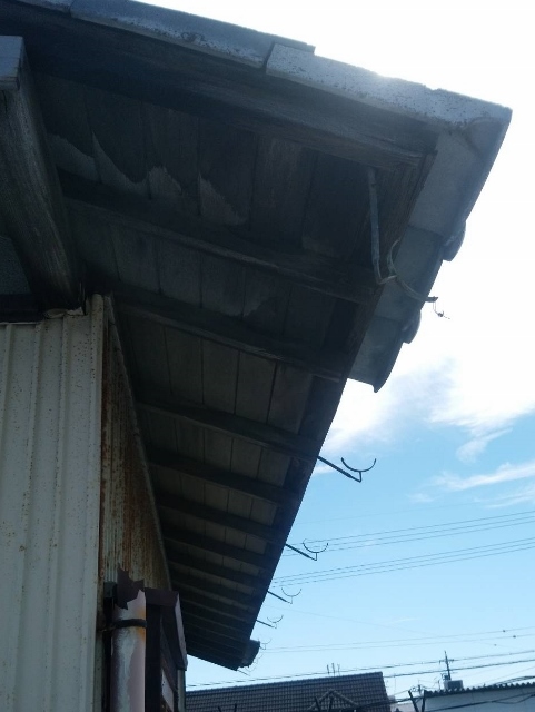 雨樋ビフォー