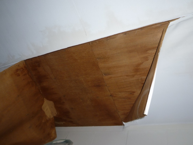 静岡市田町雨漏り現地調査