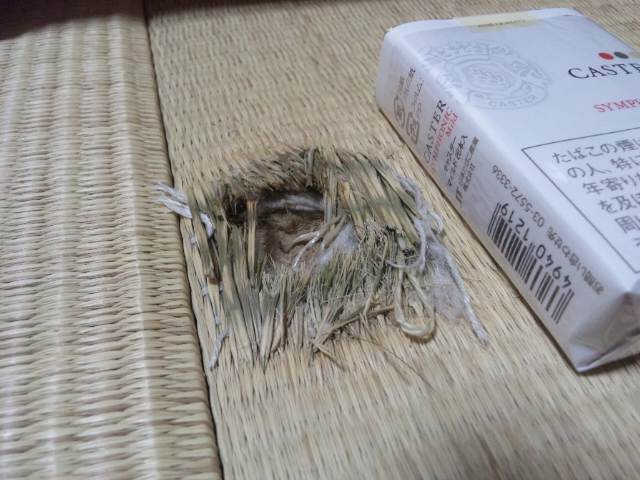 畳に穴