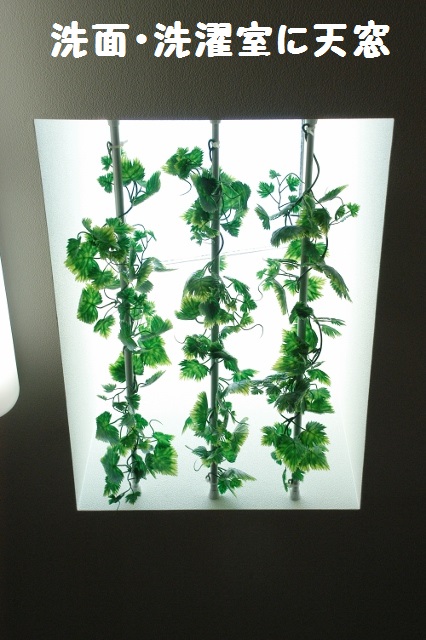 天窓設置の静岡市葵区中田の住宅