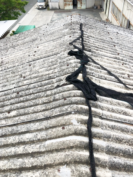 屋根の現況02