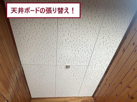 張り替え後の天井