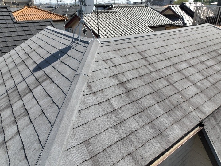 屋根全体の状態を確認