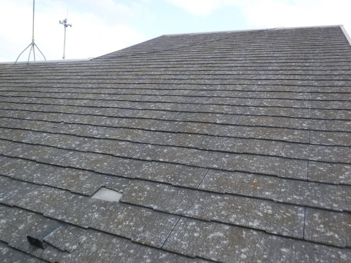 屋根全体の劣化状況