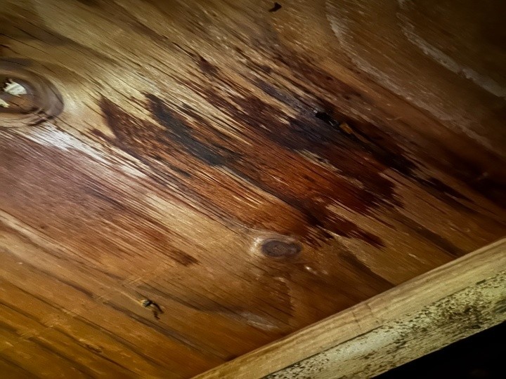 天井裏の雨染み