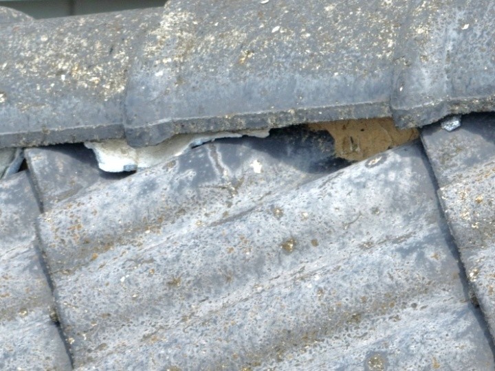 調査写真2：漆喰の脱落