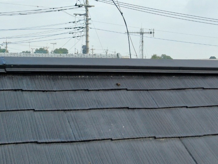 棟板金の浮き