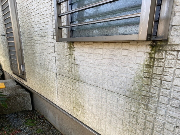 外壁のカビ汚れ