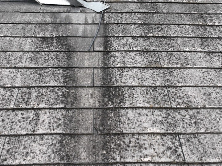 屋根表面のカビ・藻の発生