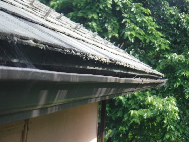 軒先スレートの傷みと苔の発生