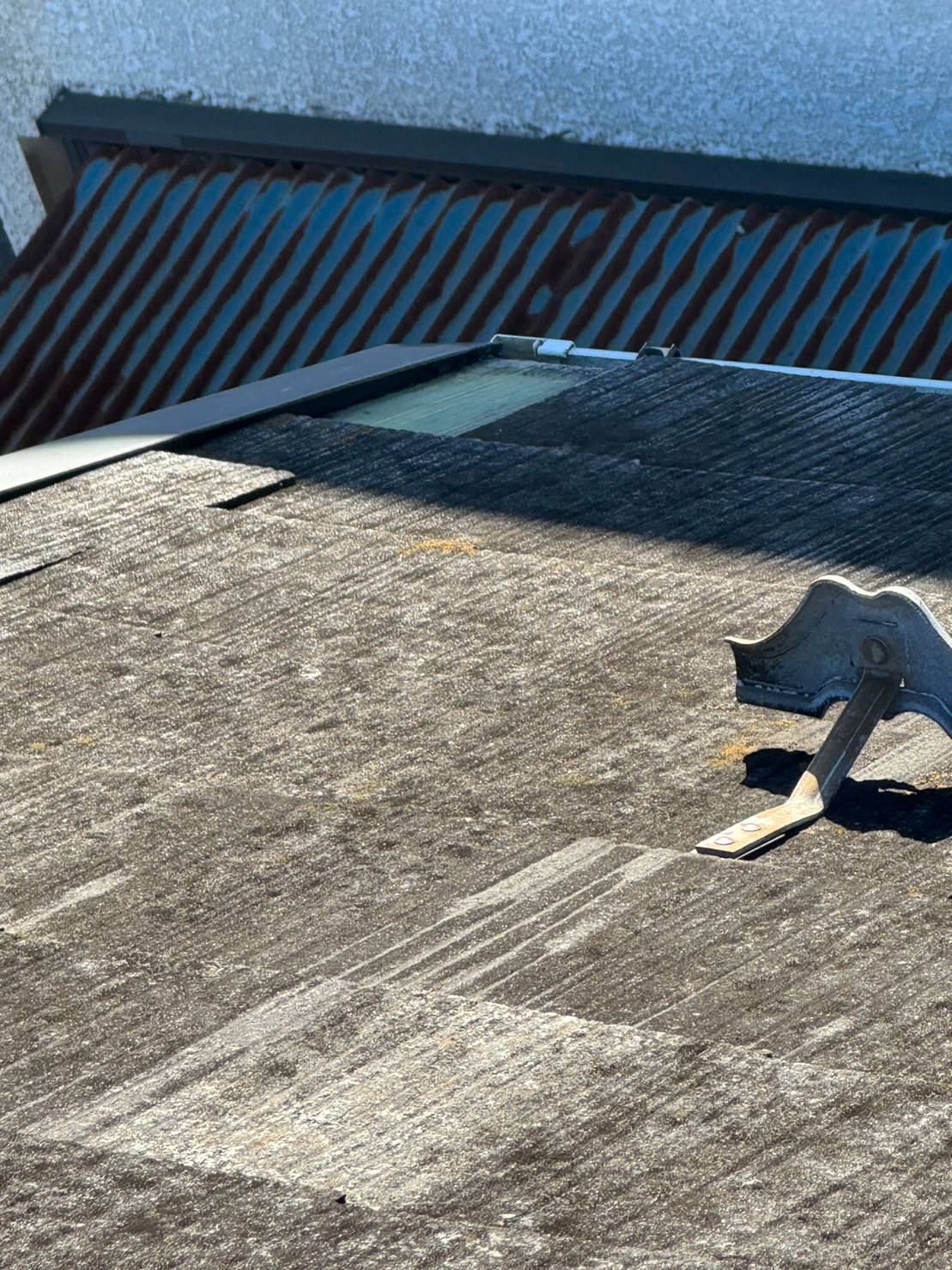 koroniaruwarekamiharatei