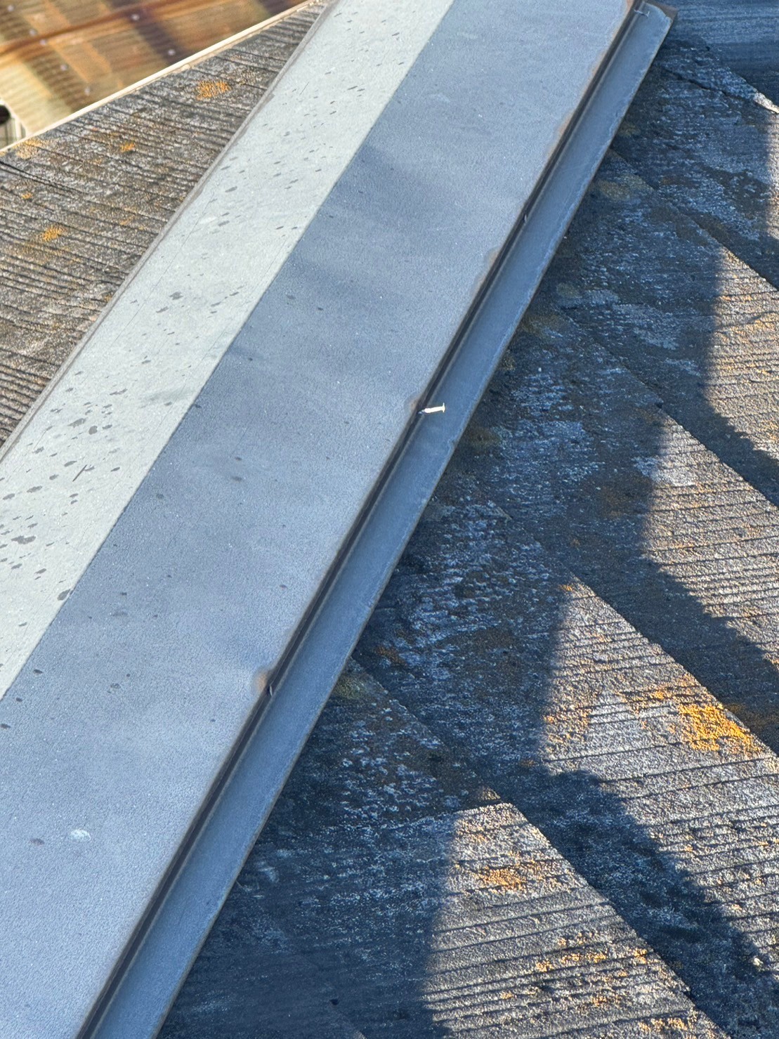 yanemunebannkinnkamiharasama