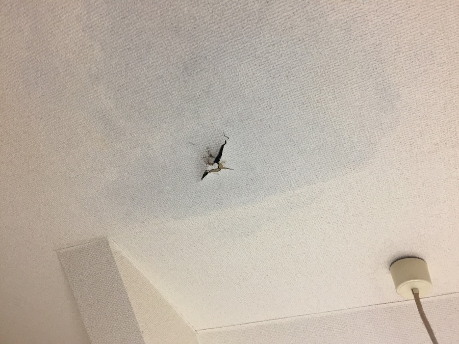 埼玉県川越市アパートハト小屋雨漏り