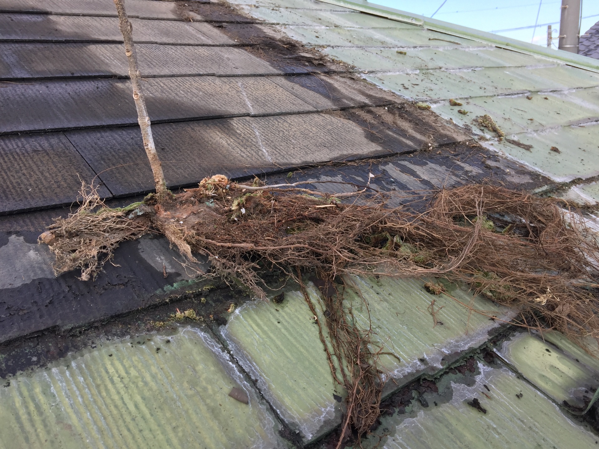 埼玉川越市屋根ソーラー撤去