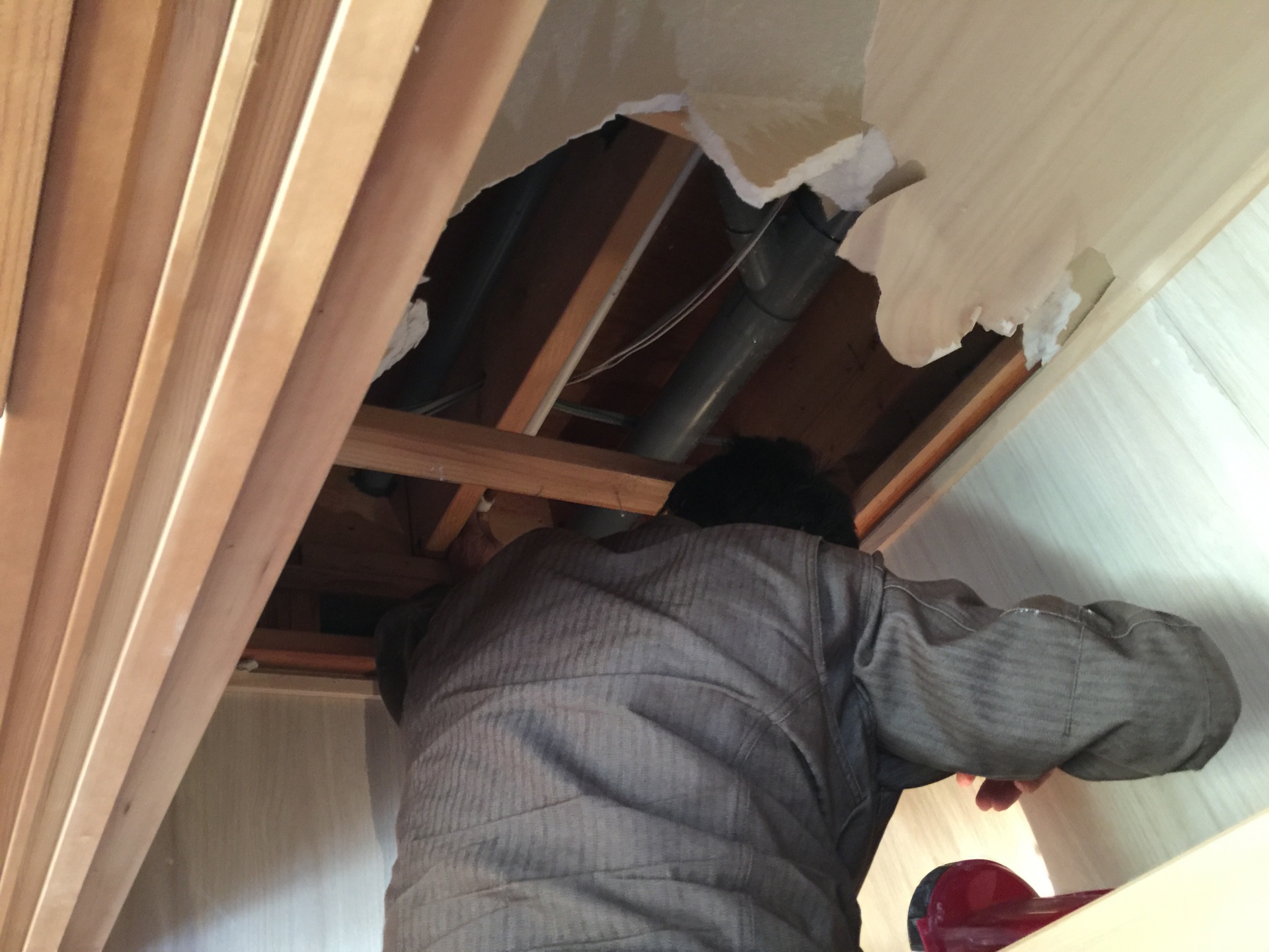 埼玉県川越市雨漏り調査