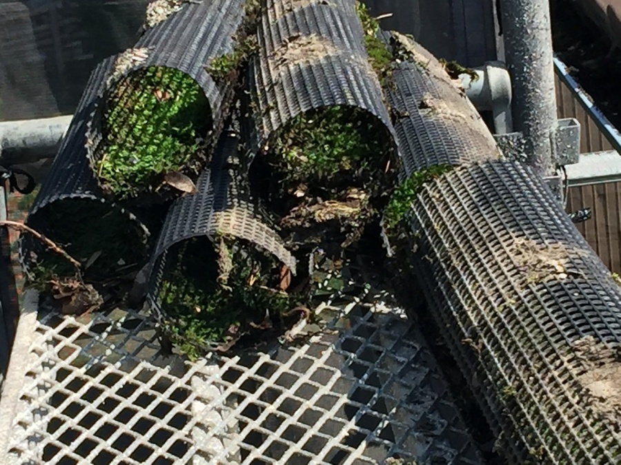 埼玉県川越市かわらU屋根と落ち葉ネット10年後