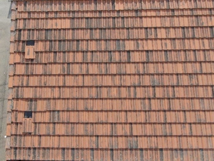 瓦の並びに乱れがあり、部分的に下地が露出