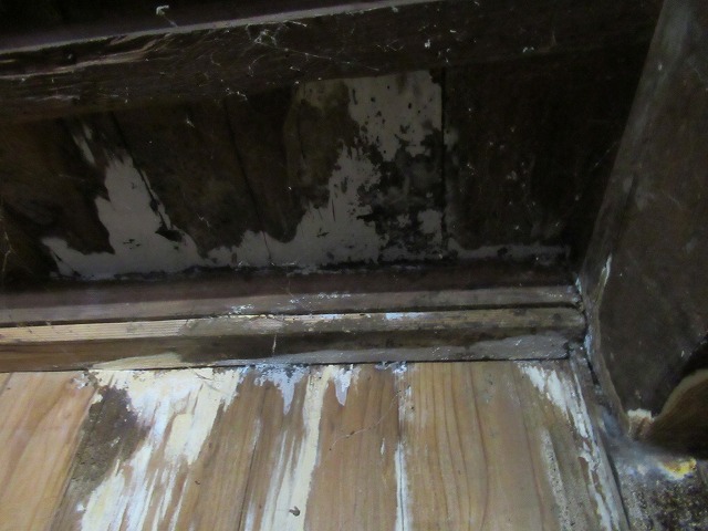 身延町　雨漏れ天井