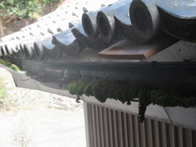 身延町　雨漏れ発見