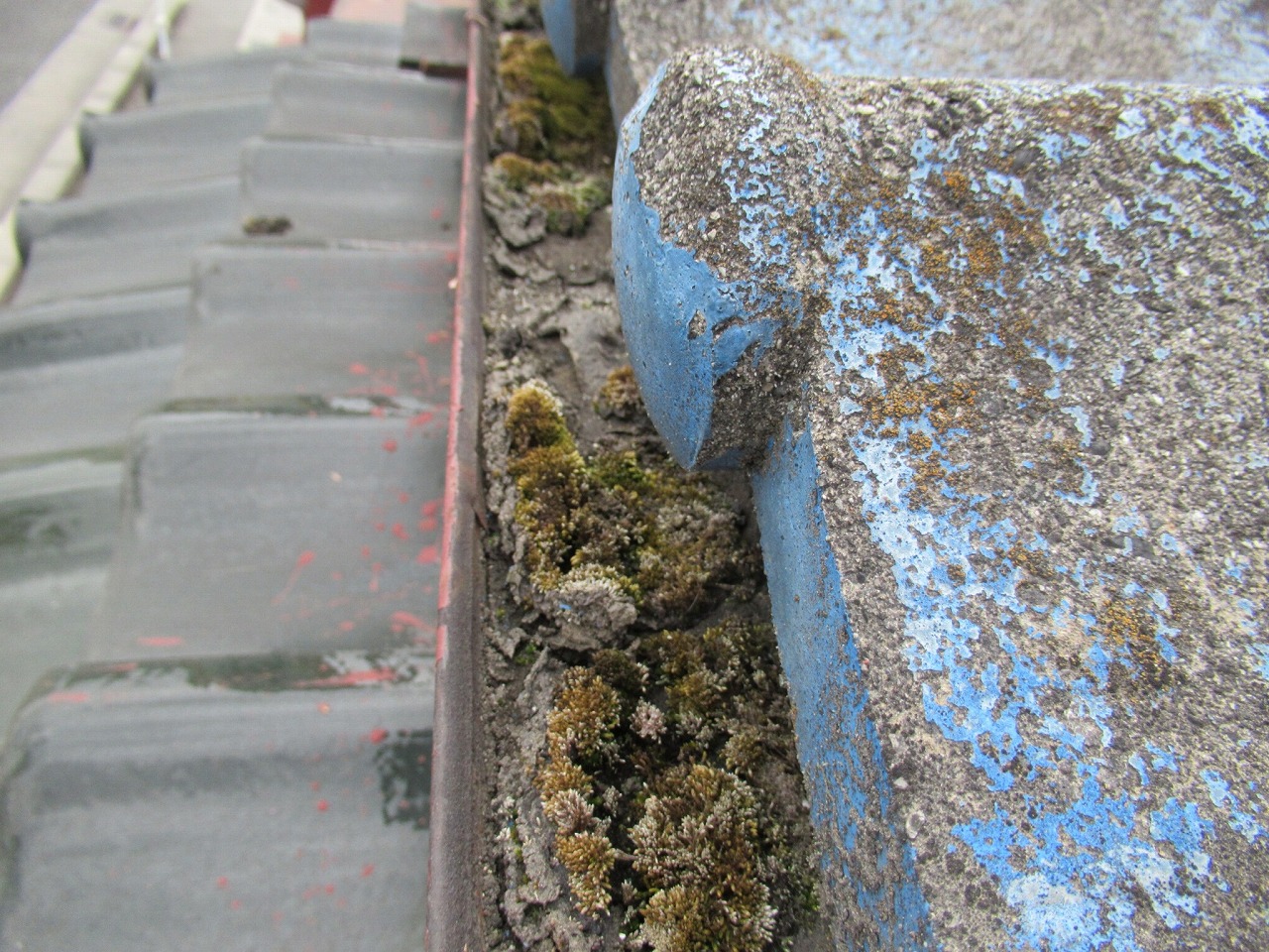 富士河口湖町　雨樋詰まり