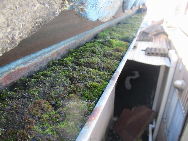 甲府市　雨樋詰まり