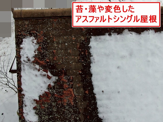 北杜市で苔・藻・カビ・変色の広がるアスファルトシングル屋根