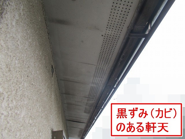 北杜市でカビにより黒ずんだ軒天