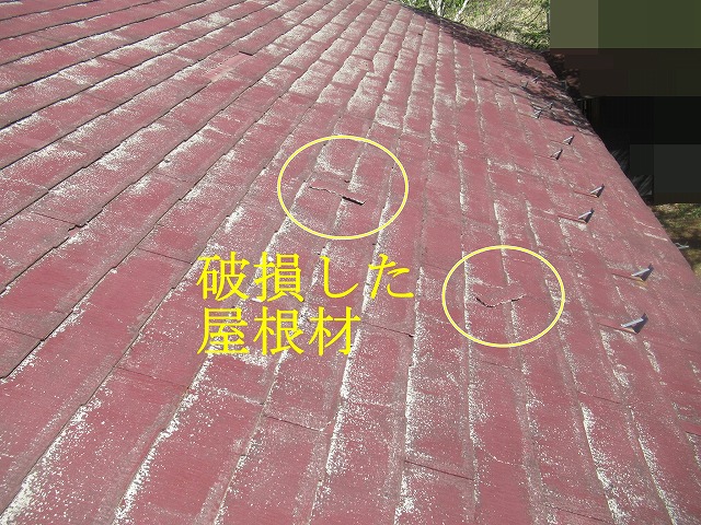 破損した屋根材の拡大