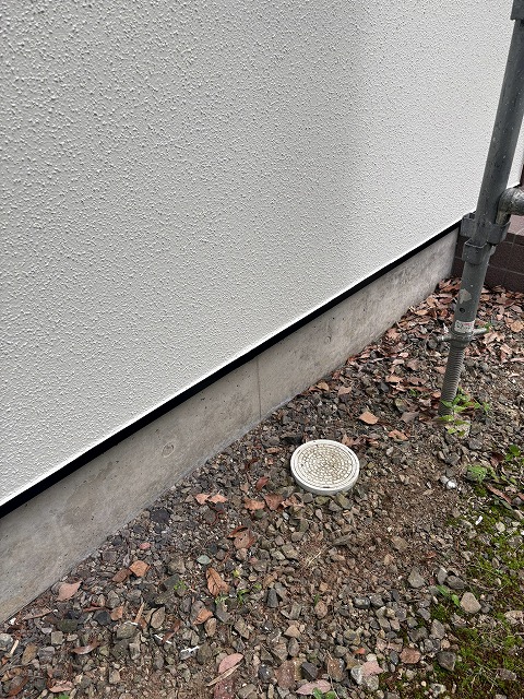 ツタ除去後の基礎周辺