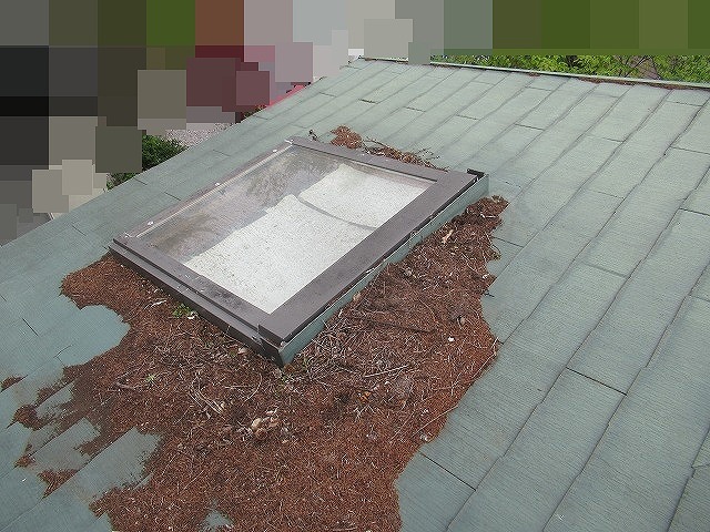 北杜市で落ち葉・枝がたまるスレート屋根（天窓周辺）