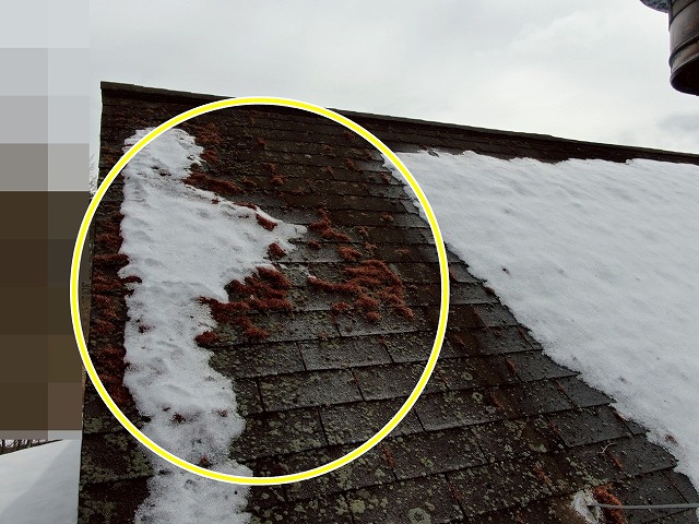 北杜市で片側のみ苔・藻が生えて変色したアスファルトシングル屋根