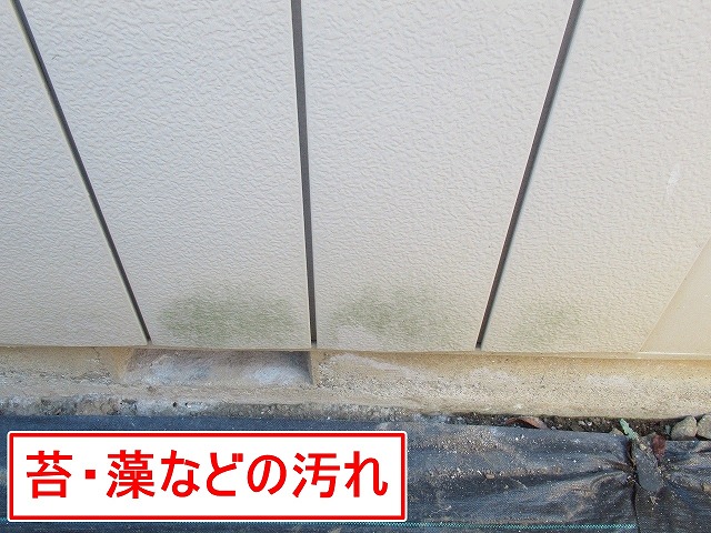 大月市でALCパネル外壁に苔・藻が発生している様子