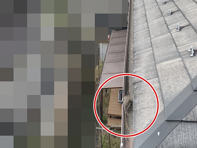 中巨摩郡昭和町で雨樋（軒樋）が枯草・落ち葉や枝で詰まっている様子